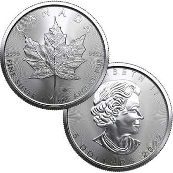 1 oz 2022 Canadian Maple Leaf Silver Bullion Coin - 500 oz Monster Box
