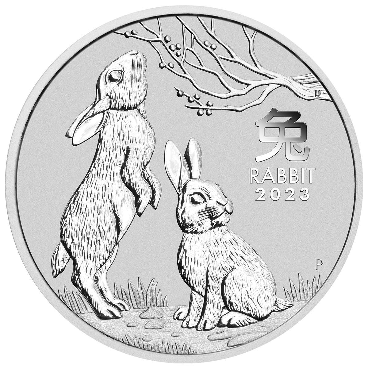 1 oz 2023 Australian Year Of The Rabbit Silver Bullion Coin - QEII